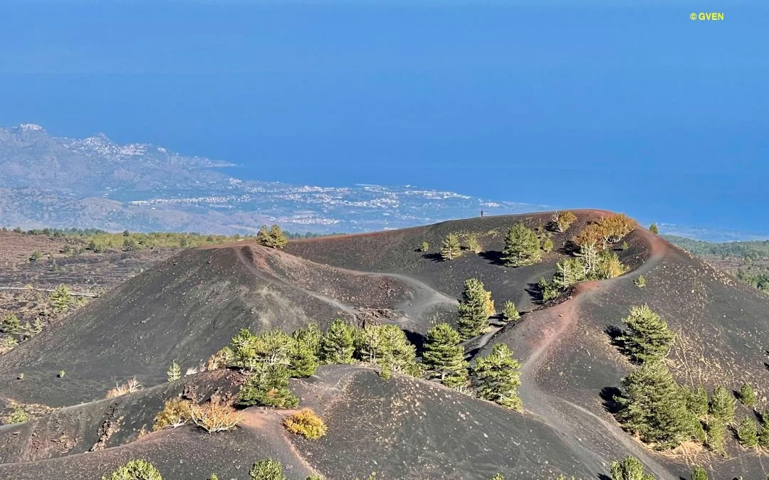 Escursione ai Monti Sartorius sull'Etna